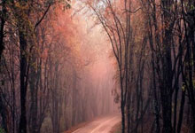 C7：难挽败局！库兹马17中8拿下25分6板 首节独得14分.