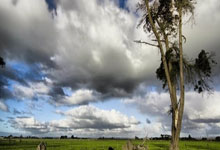 六台记者：哈维收到沙特俱乐部报价，他希望再看看其他选择.