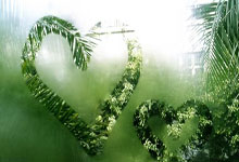 KD复出30+8太阳止3连败 文班绝杀马刺胜开拓者.